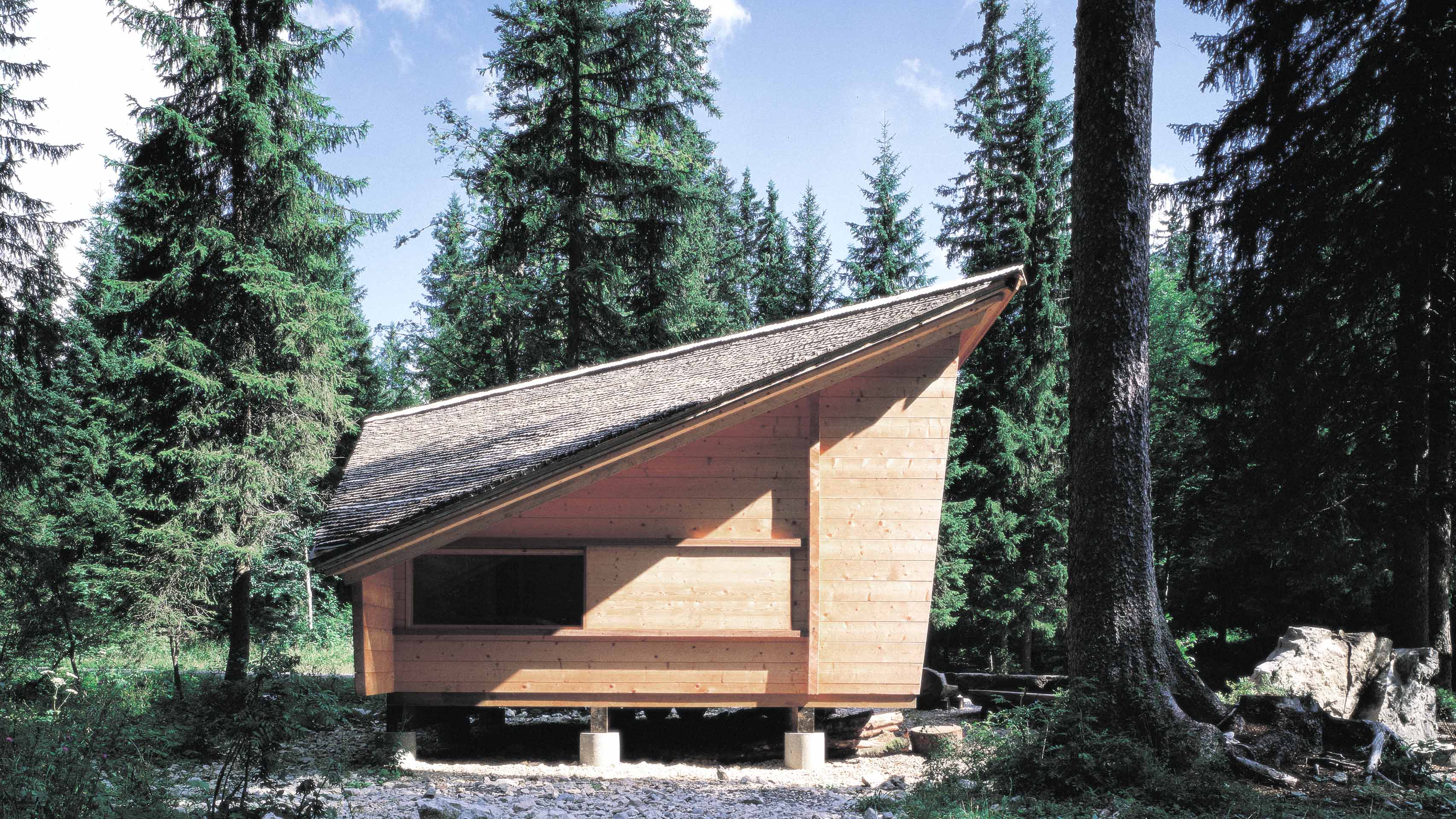 Forest Refuge